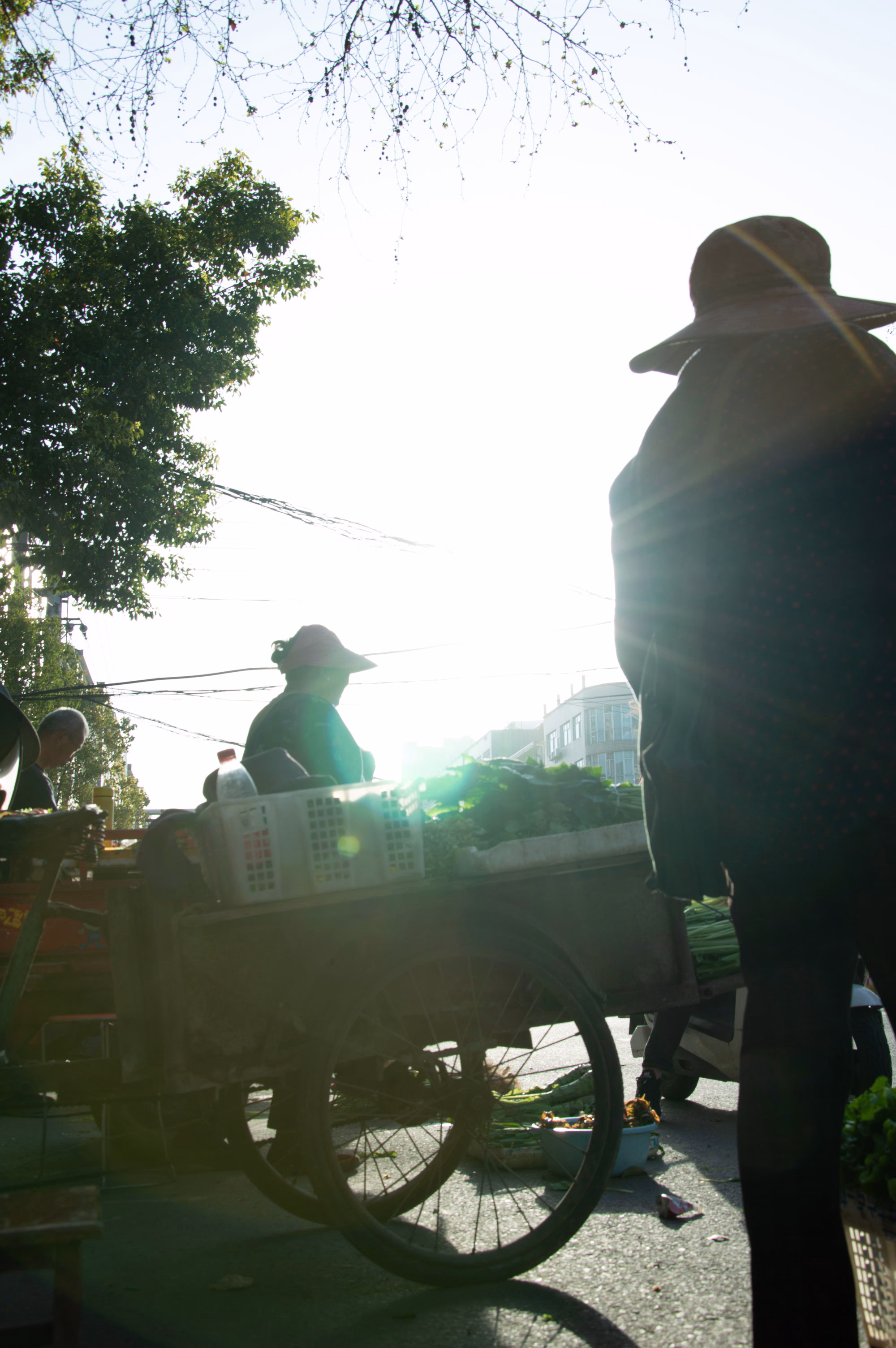 谷城之春 - Spring in Gucheng